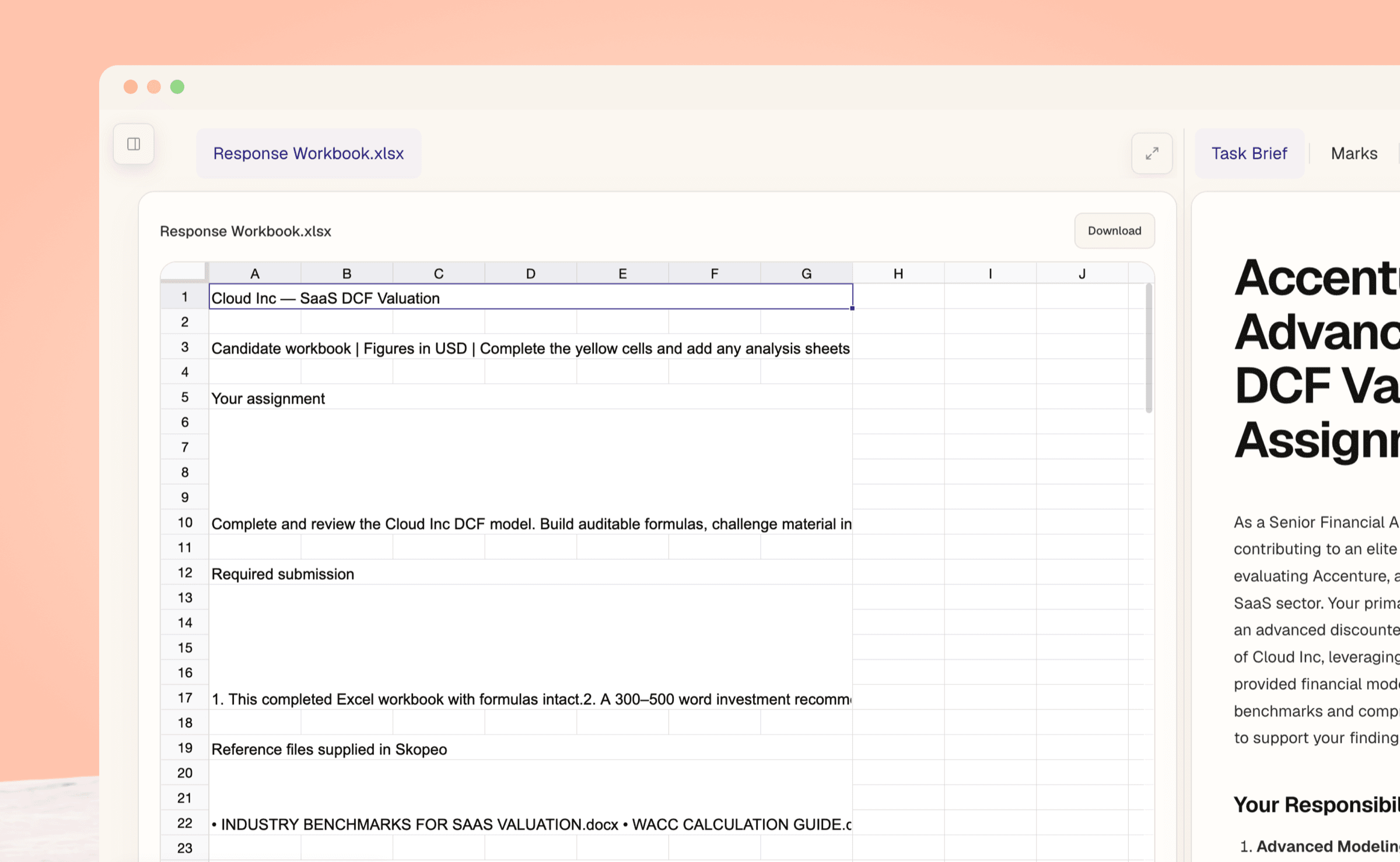 A candidate working through a Skopeo simulation in an interactive spreadsheet